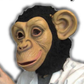 Profile image of Simian Jimmy