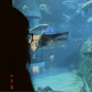 Profile image of Leeloo
