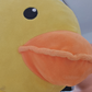 Profile image of Duck Duck