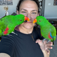 Profile image of The Green Bird Brigade