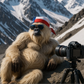 Profile image of Furby Chileno