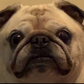 Profile image of Nick Bozich