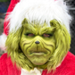 Profile image of The Grinch