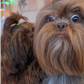 Profile image of Georgie and Lukas