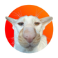 Profile image of fivecrazycats
