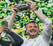 Dan Lanning profile picture