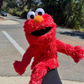Profile image of ElloElmo