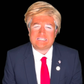Profile image of Tiktok Donald Trump: John Walsh