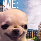 Profile image of Jorge