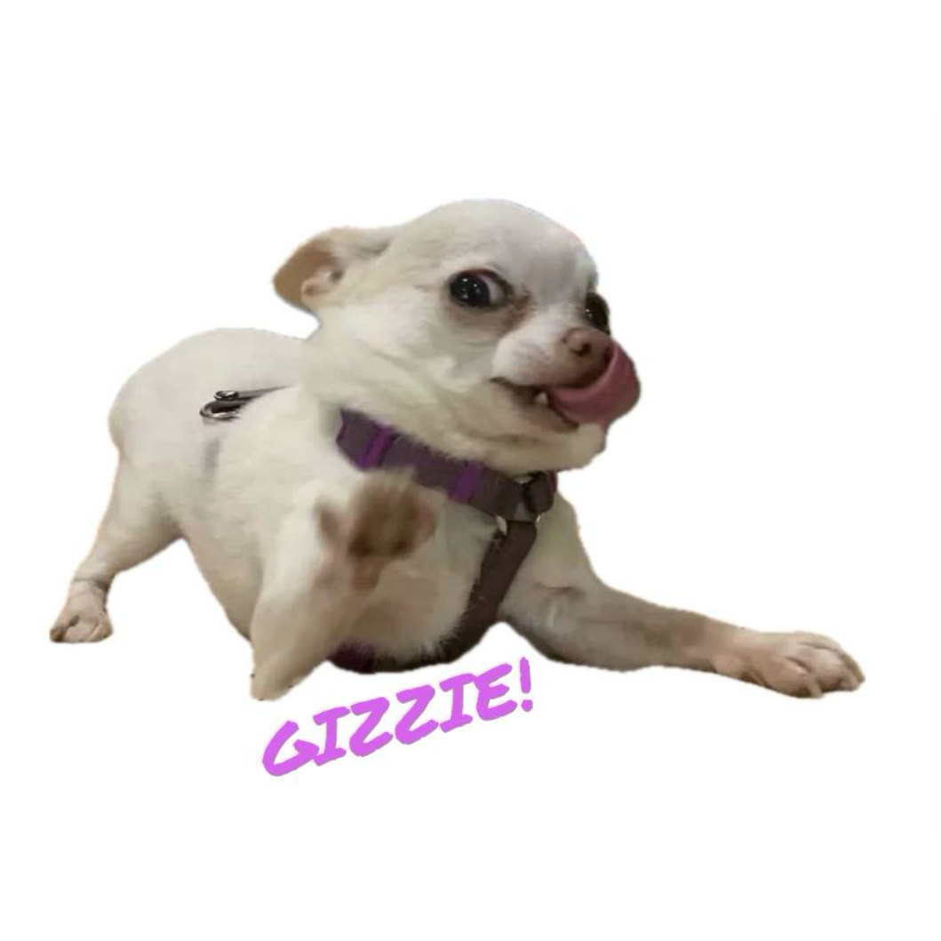 Where's Gizzie