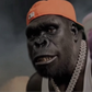 Profile image of John E. Bananas
