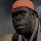 Profile image of John E. Bananas