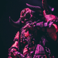 Profile image of Blóthar the Berserker