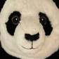 Profile image of Owen