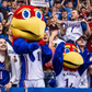 Profile image of Big & Baby Jay - The University of Kansas