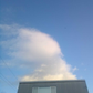 Profile image of The Hood