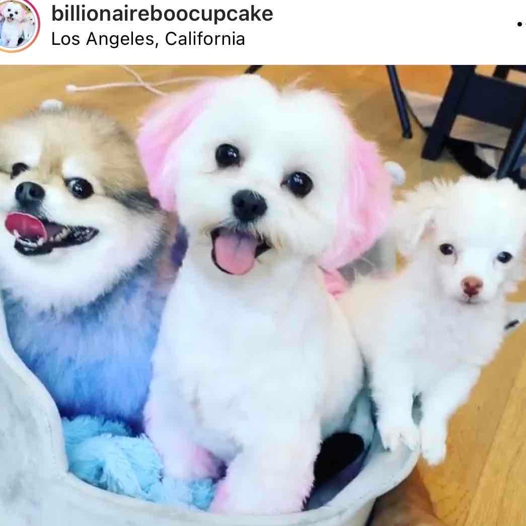BILLIONAIREBOOCUPCAKE