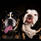 Profile image of WeeeReggieTV