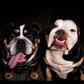 Profile image of WeeeReggieTV