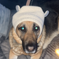 Profile image of Lills