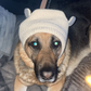 Profile image of Lills