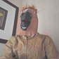 Profile image of horse face guy