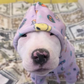 Profile image of miss billy
