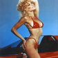 Profile image of Judy Landers