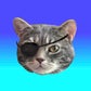 Profile image of Little Guy