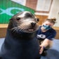 Profile image of Georgia Aquarium