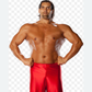 Profile image of The Great Khali