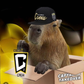 Profile image of Capybara takeover