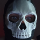 Profile image of TNBS_FLAV3