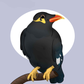 Profile image of Argyle The Mynah