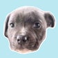 Profile image of Klaus The Blue