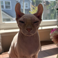 Profile image of Officially.oliviaaa