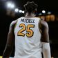 Profile image of Mark Mitchell