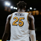 Profile image of Mark Mitchell