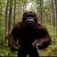 Profile image of Sasquatch