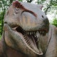 Profile image of Rex the T-Rex