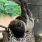 Profile image of Wildlife Learning Center
