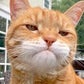 Profile image of Marley Katz