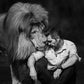 Profile image of Kevin Richardson