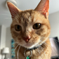 Profile image of Cala_and_Elizabeth