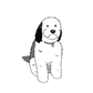 Profile image of Dougy the Sheepadoodle