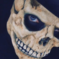 Profile image of Dead Fred