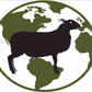 Profile image of World Around Ewe