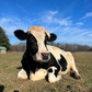 Profile image of Woodstock Sanctuary