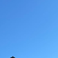 Profile image of Marlee