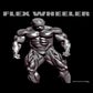 Profile image of Flex Wheeler
